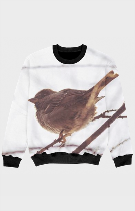 Kids Bird Printed Sweatshirts