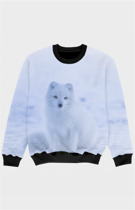 Kids Polar Bear Sweatshirts